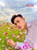 ctv29 - ảnh nhỏ 2